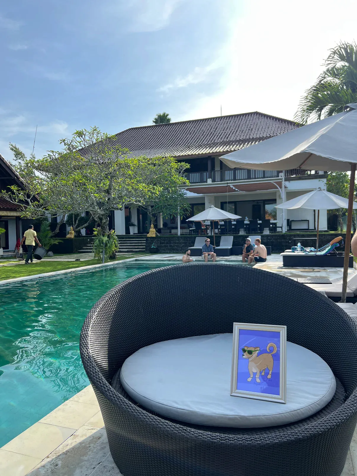 Bagus the Bali Dog