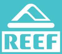 REEF Boys Switchfoot Prints Thongs
